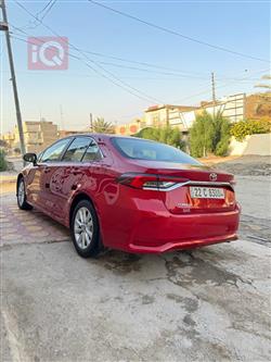 تويوتا كورولا